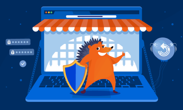 Fundamentals of Cybersecurity: Protecting Your Online Shop