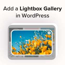 Creating a Photo Gallery with Lightbox Effect in WordPress