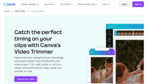 1701955493 438 Expert Tips on Optimizing Videos for Your WordPress Website