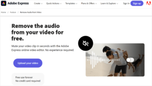 1701955493 43 Expert Tips on Optimizing Videos for Your WordPress Website