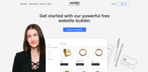 1702020002 234 Top Free Website Builder Choices for 2024.webp