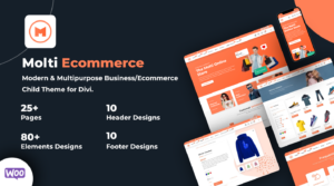 1702332276 857 Dont Miss Out The Divi Cyber Monday Sale Concludes Today