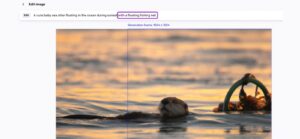 1702356220 611 Understanding DALL E and How to Utilize It