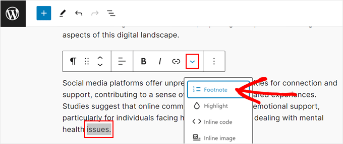1703006725 22 Creating Sophisticated Footnotes in WordPress A Step by Step Guide