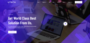 1703089736 315 Top 30 WordPress Themes with Responsive Design for 2024.webp
