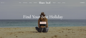 1703089736 45 Top 30 WordPress Themes with Responsive Design for 2024.webp
