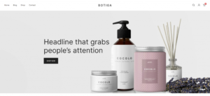 1703089737 679 Top 30 WordPress Themes with Responsive Design for 2024.webp