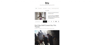 1703089738 959 Top 30 WordPress Themes with Responsive Design for 2024.webp