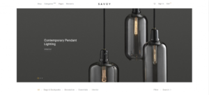 1703089742 232 Top 30 WordPress Themes with Responsive Design for 2024.webp