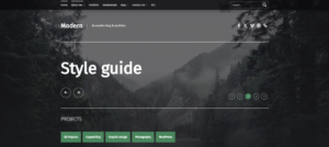 1703089743 460 Top 30 WordPress Themes with Responsive Design for 2024.webp