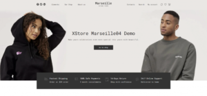 1703089744 711 Top 30 WordPress Themes with Responsive Design for 2024.webp