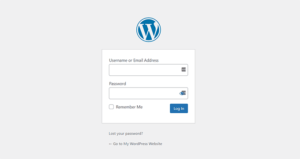 1703785226 64 The Ultimate Guide to Creating a Custom WordPress Login Page