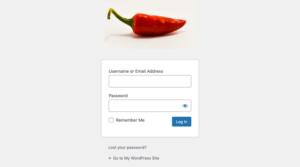 1703785232 484 The Ultimate Guide to Creating a Custom WordPress Login Page