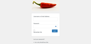1703785232 550 The Ultimate Guide to Creating a Custom WordPress Login Page