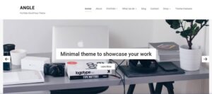 1703792857 216 Top 29 WordPress Themes for Authors in 2024