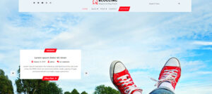1703792857 239 Top 29 WordPress Themes for Authors in 2024