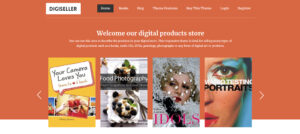 1703792857 612 Top 29 WordPress Themes for Authors in 2024