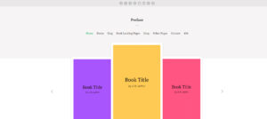 1703792858 157 Top 29 WordPress Themes for Authors in 2024