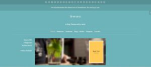 1703792858 698 Top 29 WordPress Themes for Authors in 2024