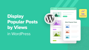 2 Methods for Showing Popular Posts by Views in WordPress
