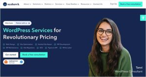 5 Expert Tips for Outsourcing WordPress Development