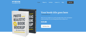 Top 29 WordPress Themes for Authors in 2024