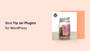 Top 7 WordPress Tip Jar Plugins Simple and Effective