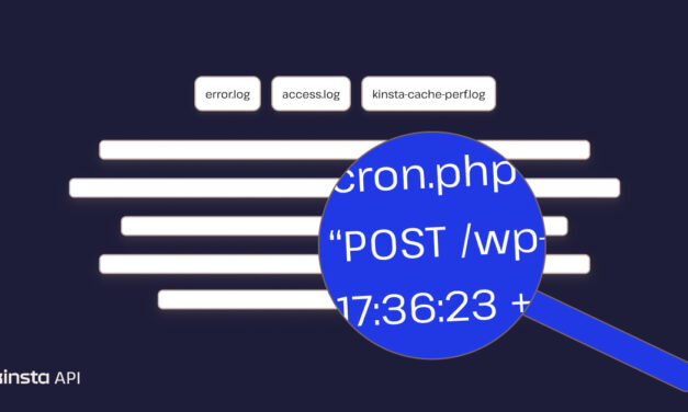 Retrieving Server Logs Using Kinsta API